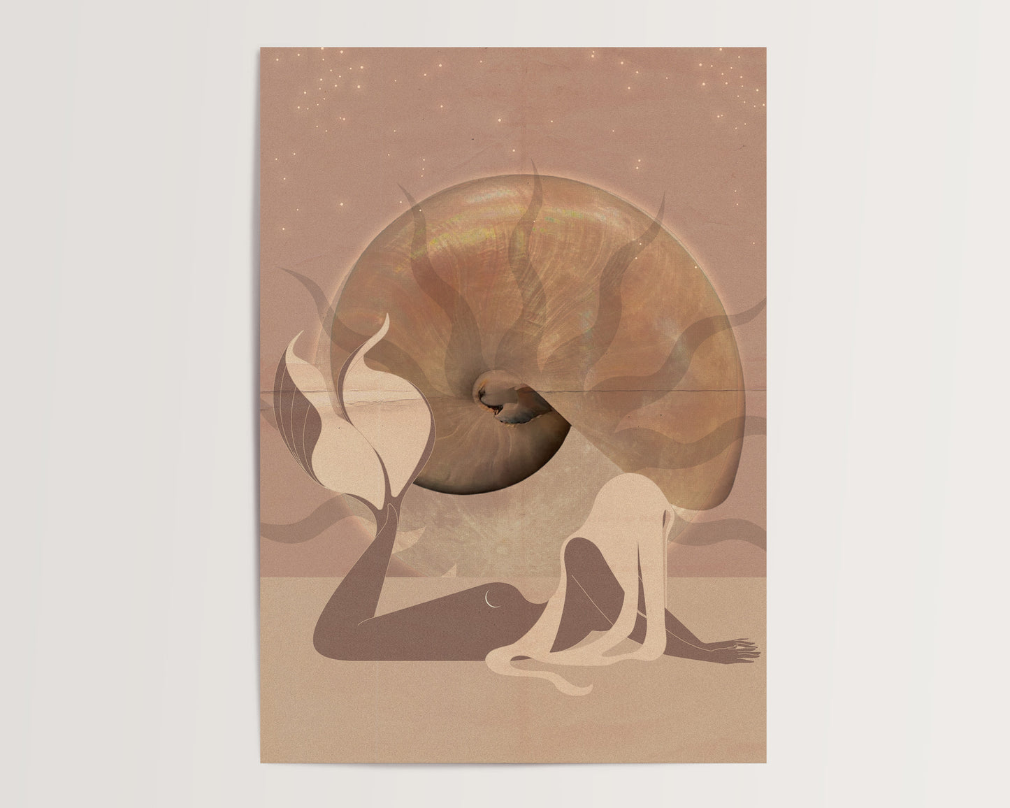 Mermaid & Nautilus