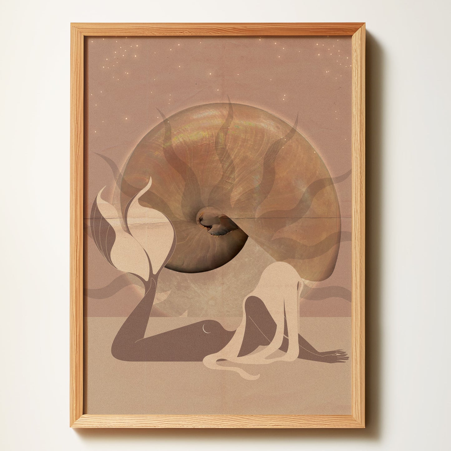 Mermaid & Nautilus