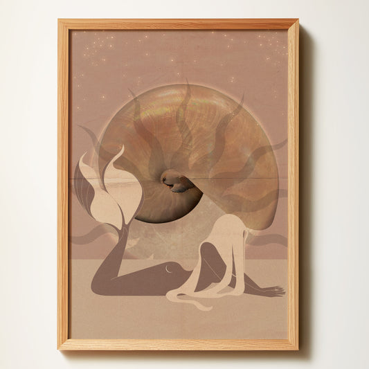 Mermaid & Nautilus