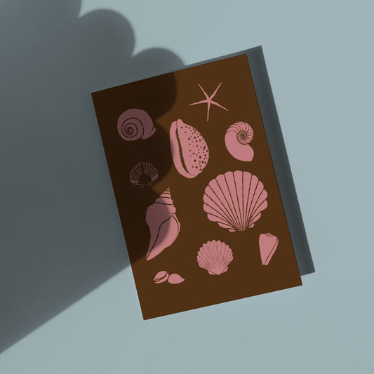 Shell Musk Pink